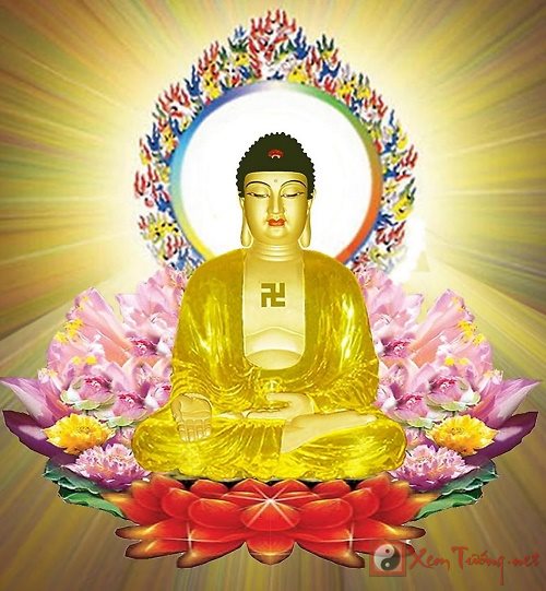 Con đường gặp Phật trong thực tại