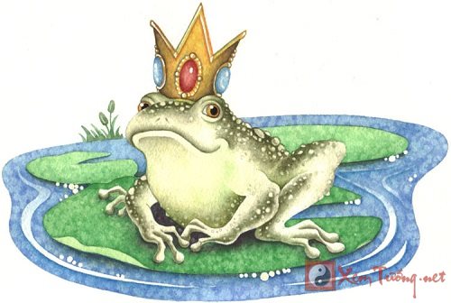 Mơ thấy ếch: Khám phá giấc mơ về con ếch