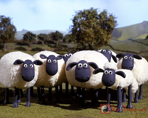 Mơ thấy cừu: Giải mã giấc mơ về chú cừu