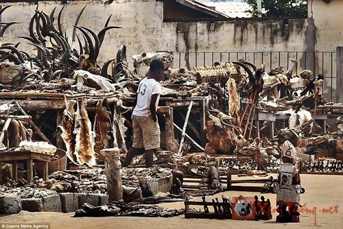 Khu chợ bán bùa ngải công khai ở Tây Phi