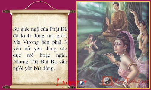 Infographic Cuoc doi Phat Thich Ca Mau Ni Phan 1 hinh anh goc 20