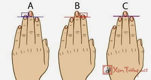 Chiều dài 2 ngón tay này sẽ "bóc mẽ" chuẩn xác tính cách của bạn